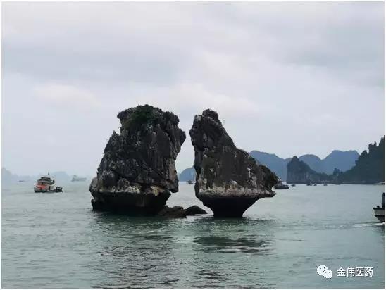 “感恩有你，一路同行”瀘州金偉2019快樂之旅